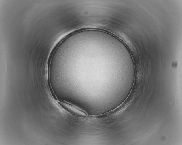 X0000091580940200709101015