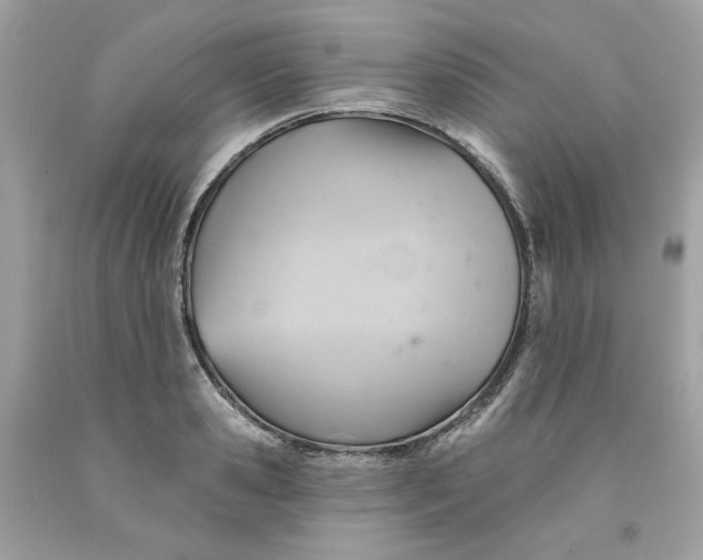 X0000091580941200709101015