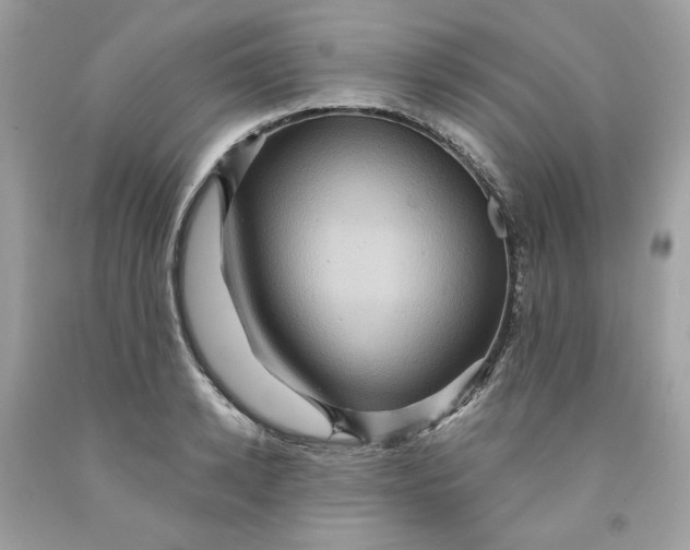 X0000091580942200709101015