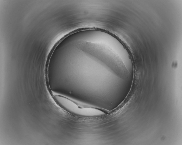 X0000091580943200709101015