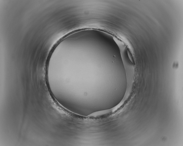 X0000091580944200709101015