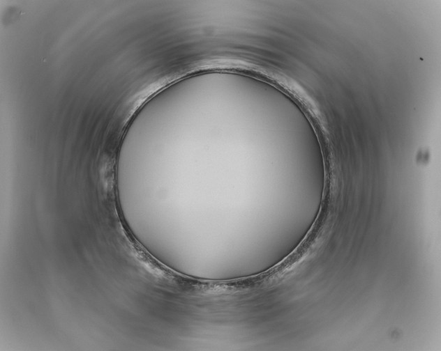 X0000091580945200709101015