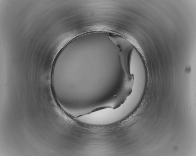 X0000091580946200709101015