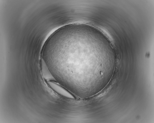 X0000091580948200709101015