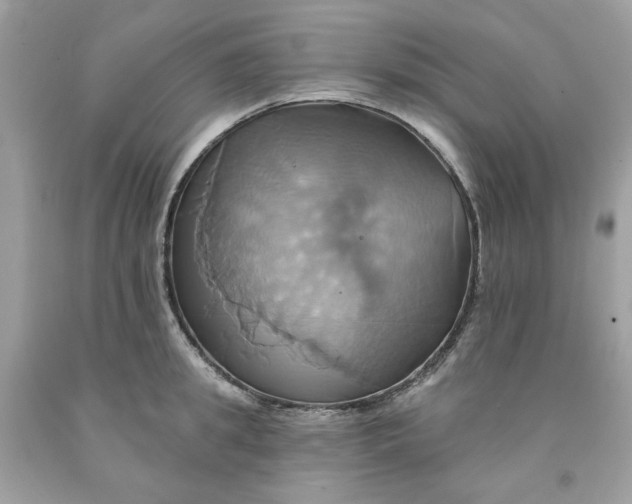 X0000091580949200709101015