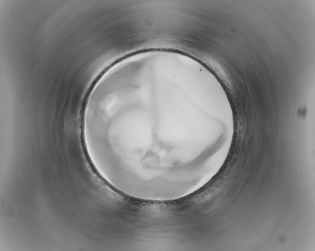 X0000091580950200709101015