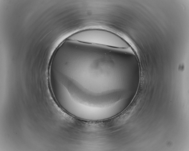 X0000091580951200709101015