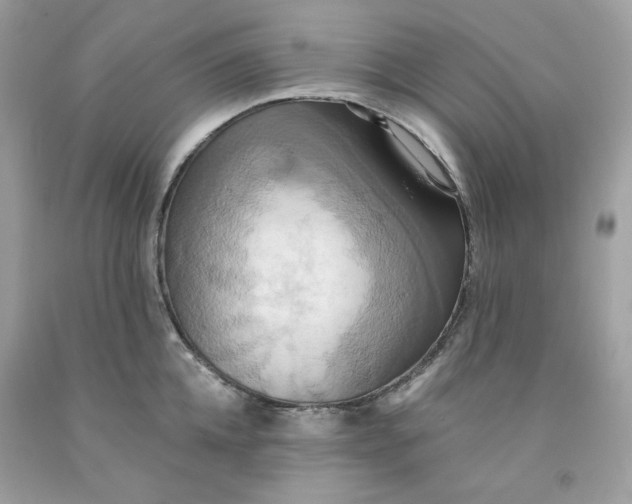 X0000091580952200709101015