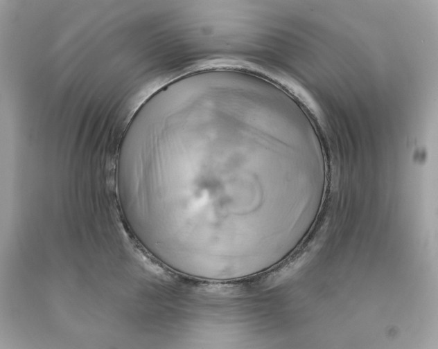 X0000091580953200709101015