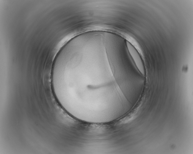 X0000091580954200709101015