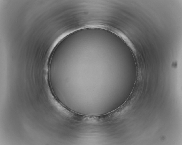 X0000091580955200709101015