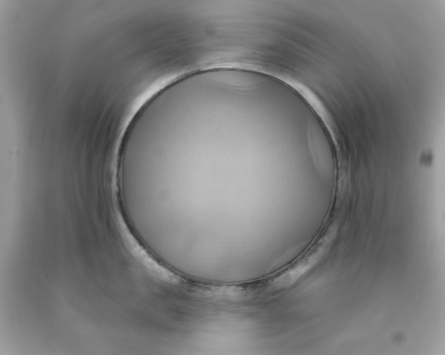 X0000091580957200709101016