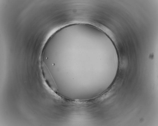 X0000091580958200709101016