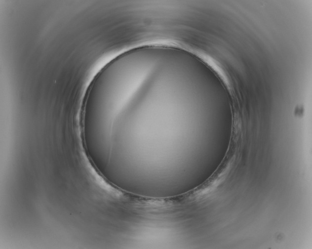 X0000091580959200709101016