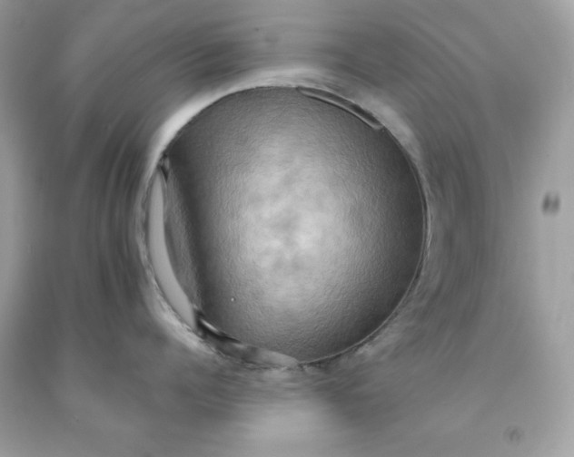 X0000091580960200709101016