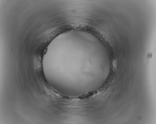 X0000091580963200709101015