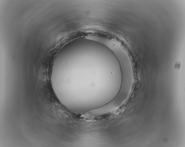 X0000091580965200709101015