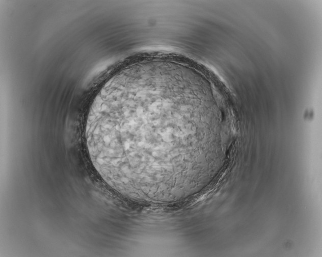 X0000091580967200709101015