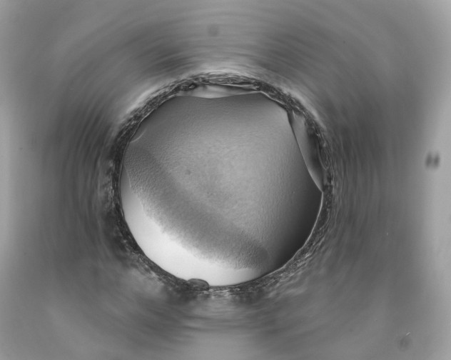 X0000091580968200709101015