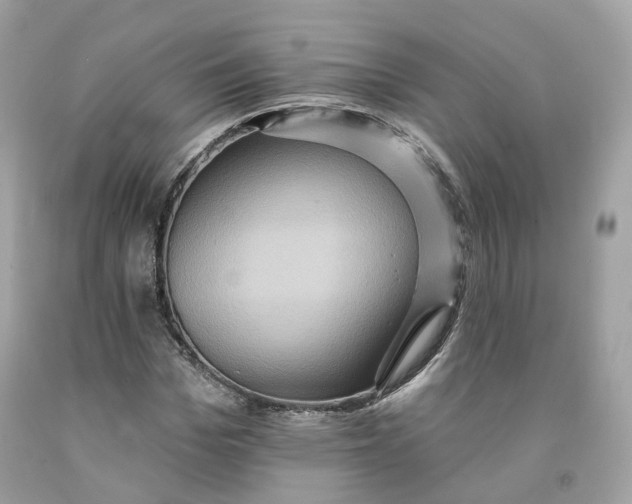 X0000091580969200709101015