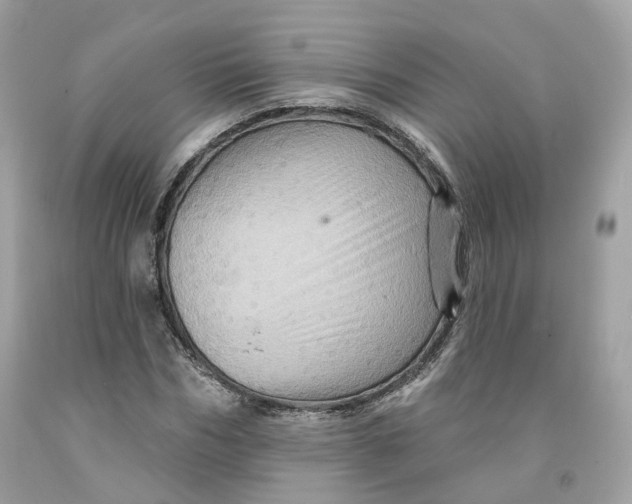 X0000091580970200709101015