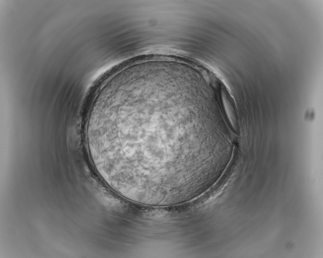 X0000091580971200709101015