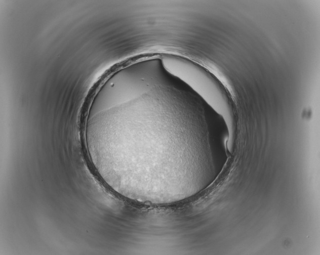 X0000091580972200709101015