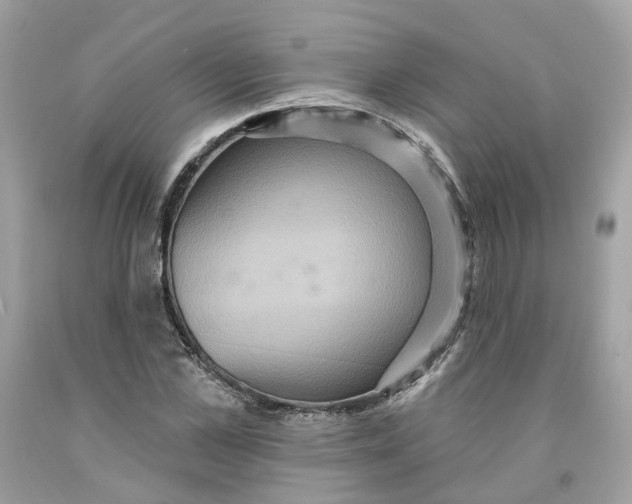 X0000091580973200709101015