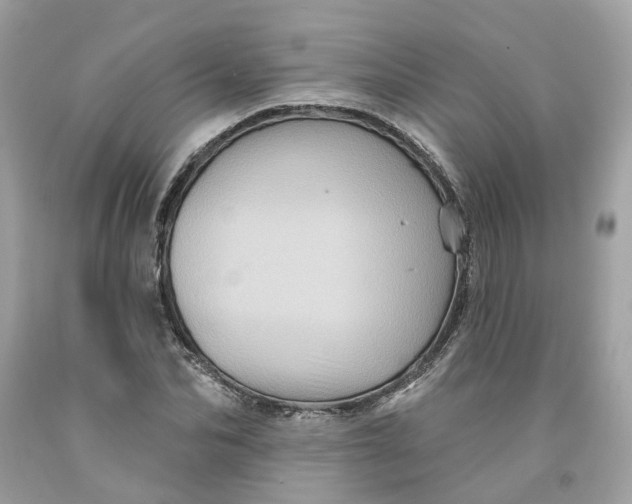 X0000091580974200709101015