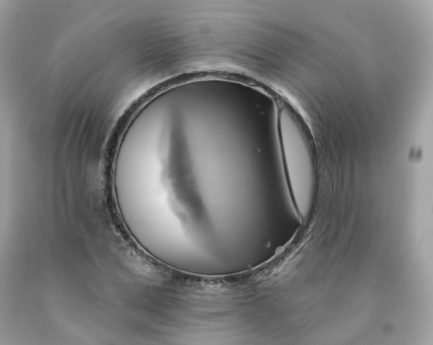 X0000091580975200709101015