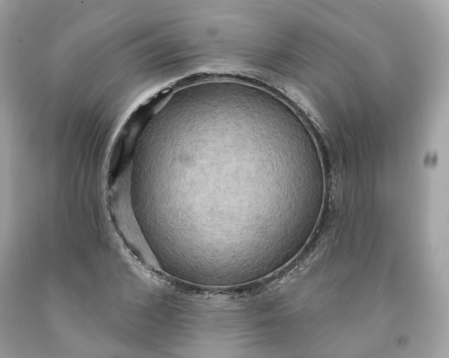 X0000091580976200709101015