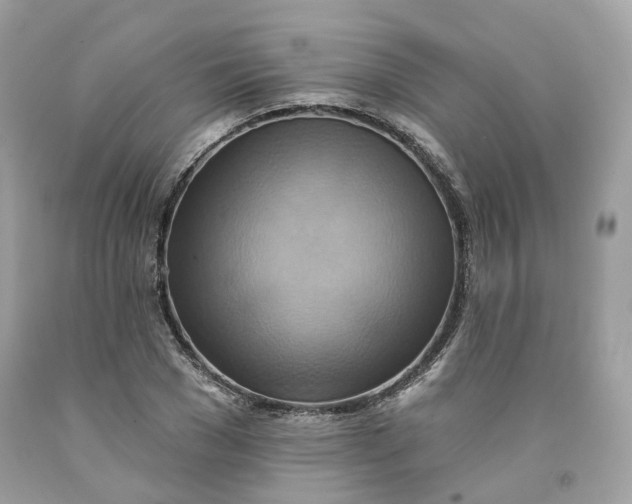 X0000091580977200709101015