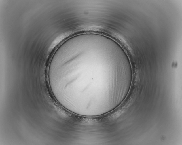 X0000091580978200709101015