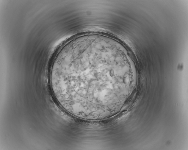 X0000091580979200709101015