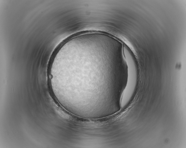 X0000091580980200709101015