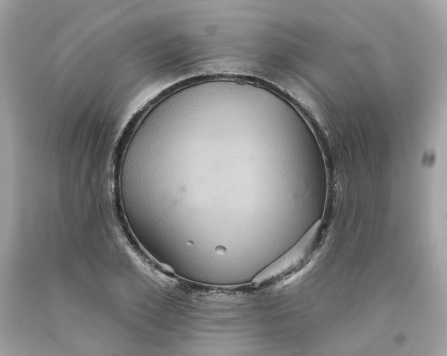 X0000091580981200709101015