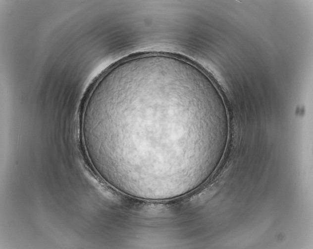 X0000091580982200709101015