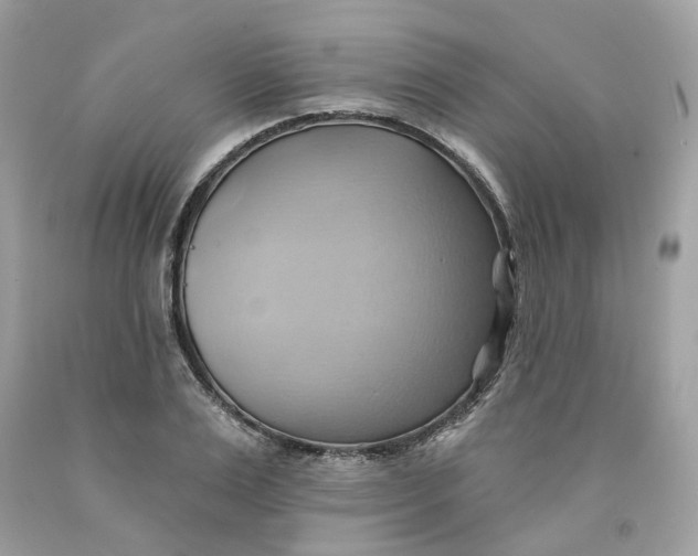 X0000091580983200709101015