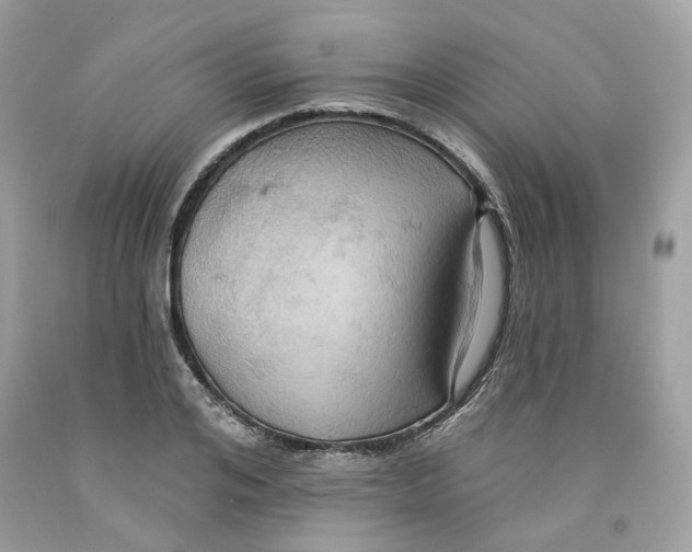 X0000091580984200709101015