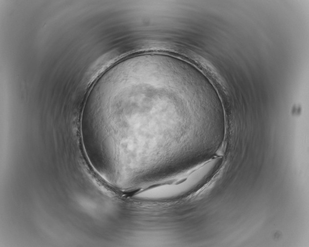 X0000091580985200709101014