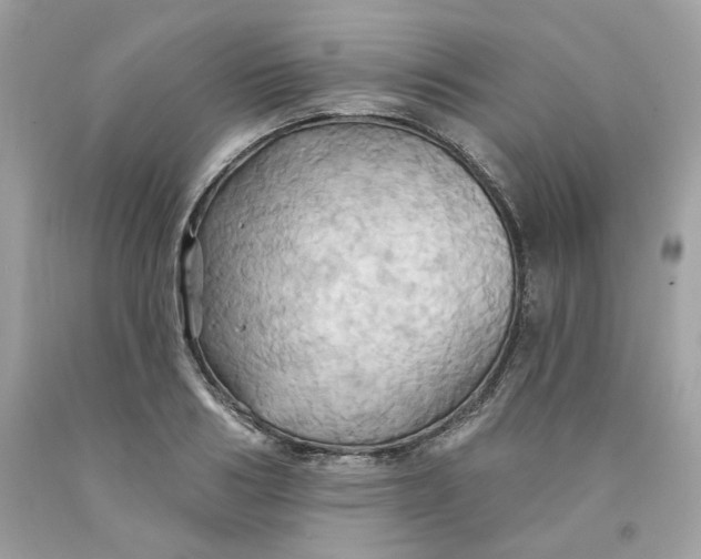 X0000091580986200709101014