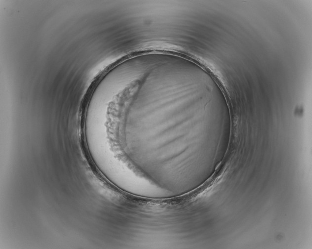 X0000091580987200709101014