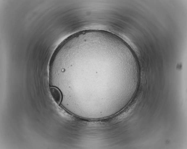 X0000091580988200709101014