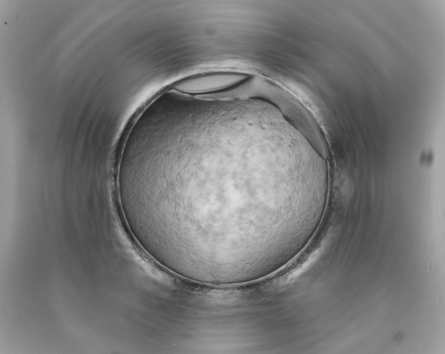 X0000091580989200709101014