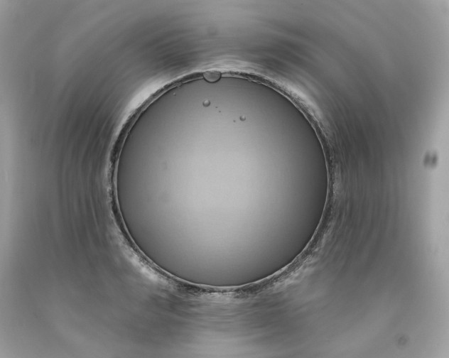 X0000091580990200709101014