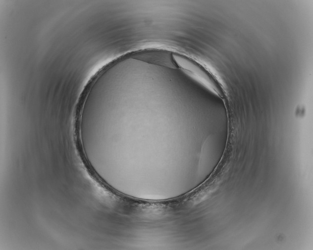 X0000091580991200709101014