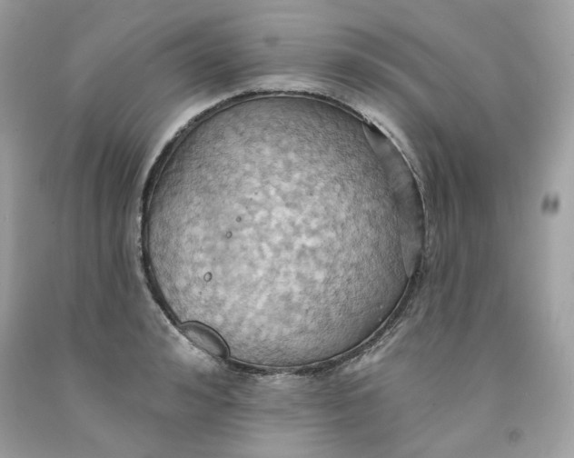 X0000091580992200709101014