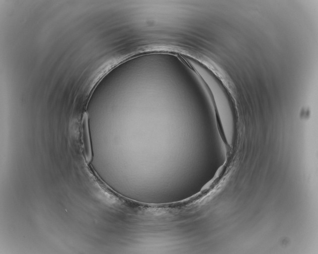 X0000091580993200709101014