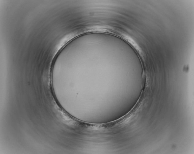 X0000091580994200709101014