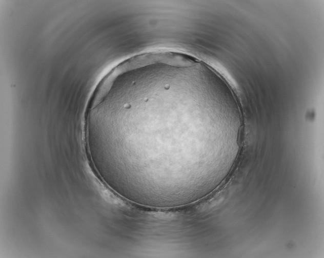 X0000091580996200709101014